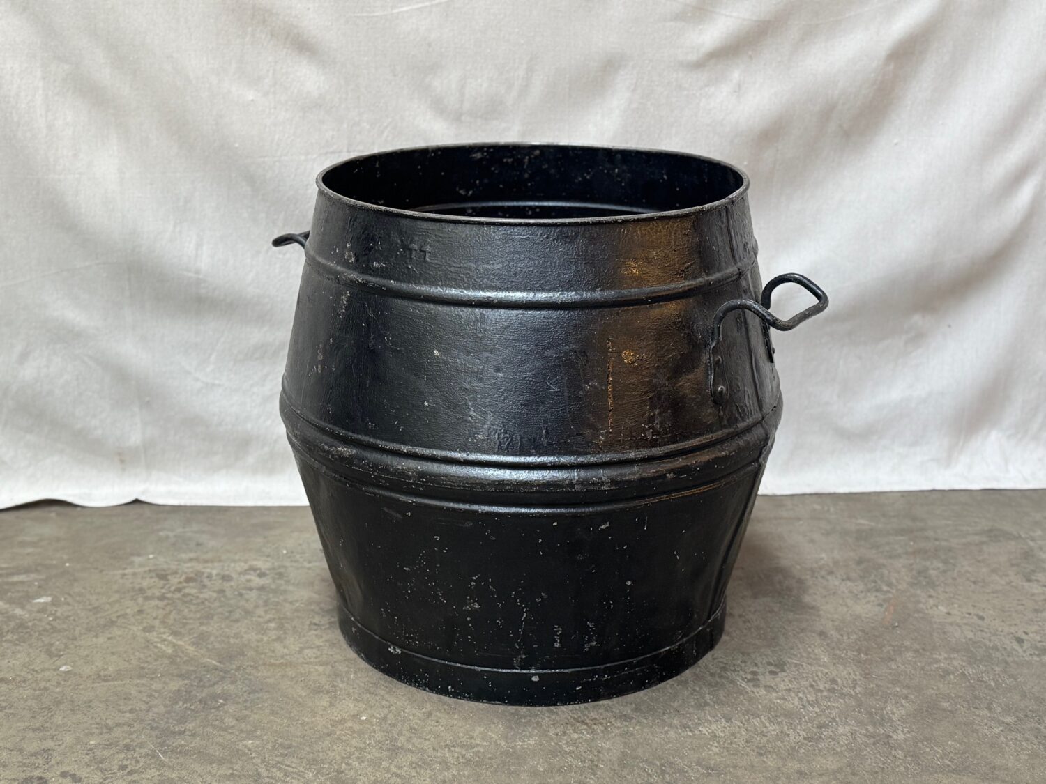 olivenbaum klein winterhart SONDERPREIS: Olivenbaum Olive 160-180 cm dicker Stamm beste Qualität  winterhart + robust